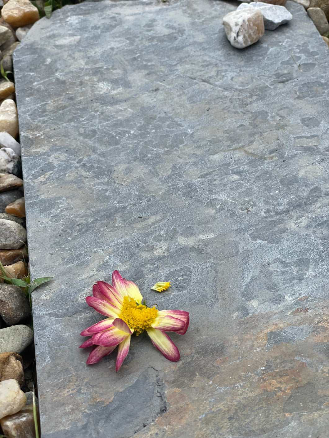 Two Natural Slate Steppingstones