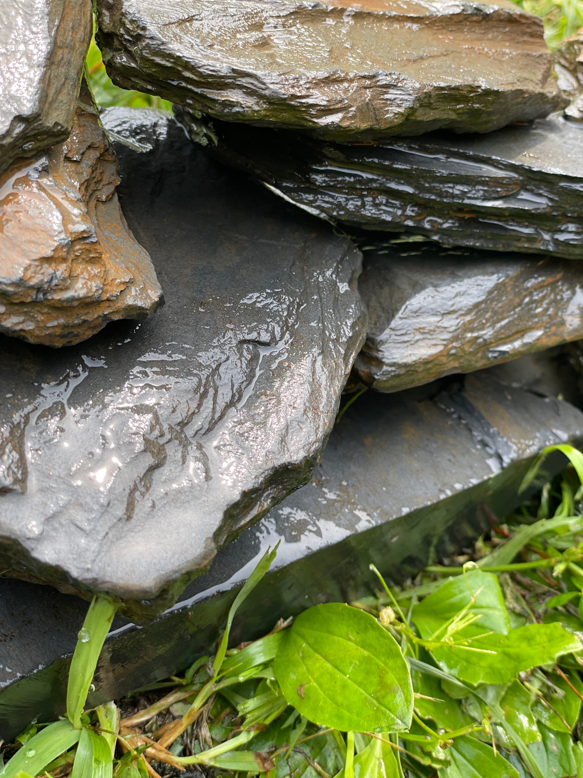 10 Pounds - Natural Slate Stone