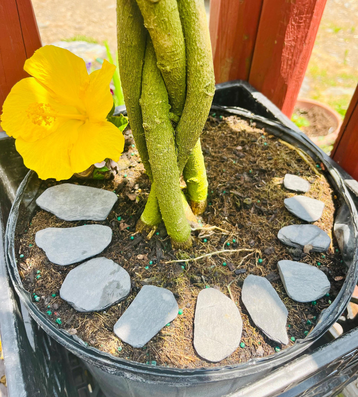 20 small slate steppingstones for Fairy Gardens and crafts