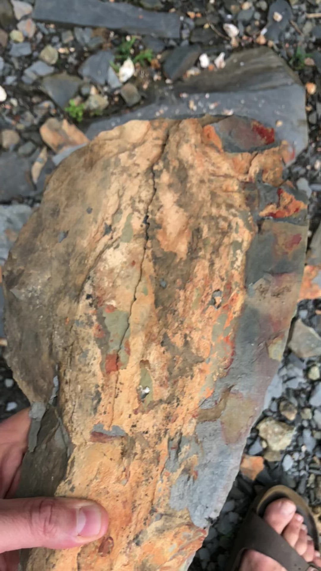 Large box. 10lbs. Rust colored slate stone for mosaic or crafts. FREE SHIPPING!!