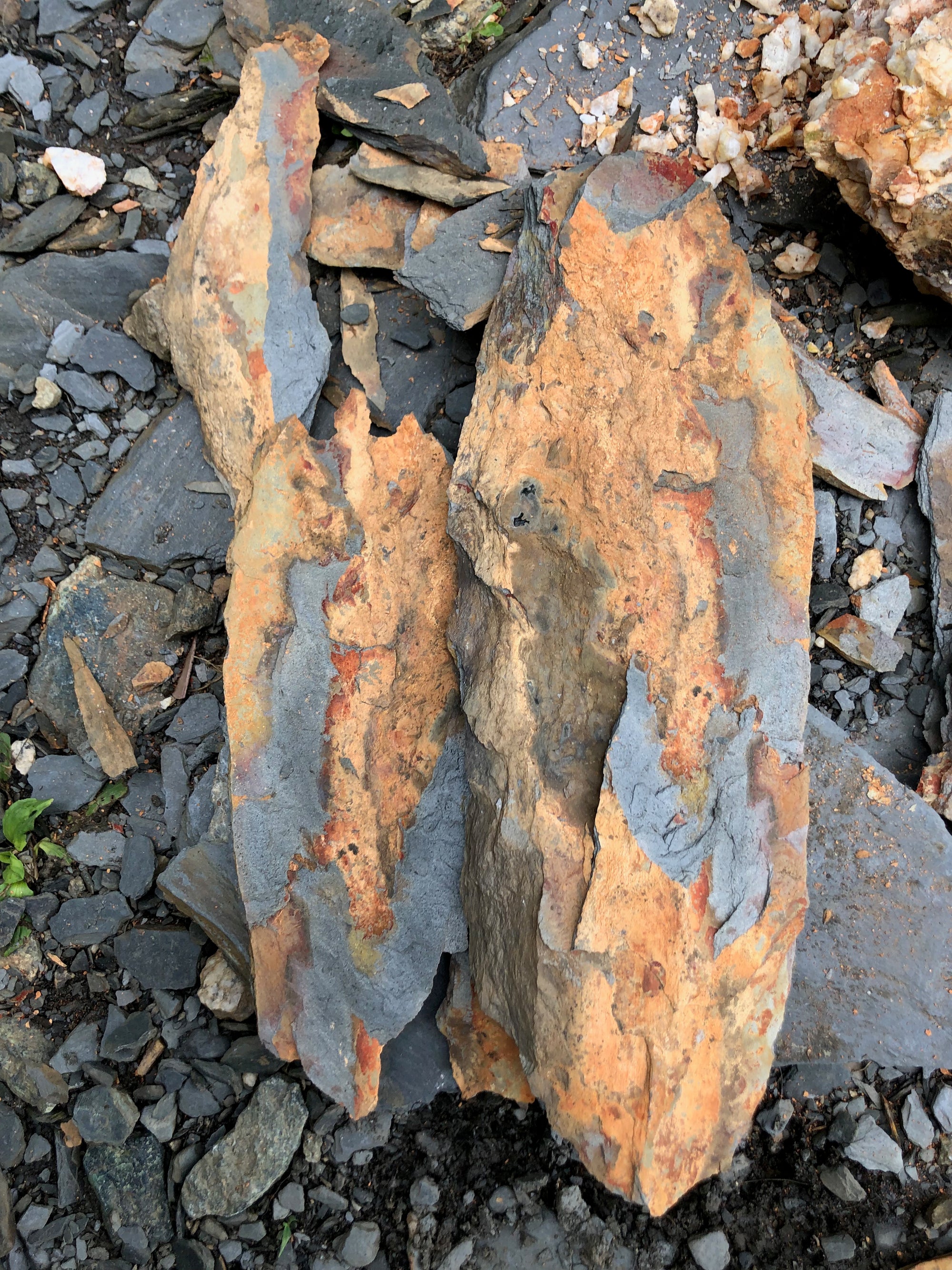 Large box. 10lbs. Rust colored slate stone for mosaic or crafts. FREE SHIPPING!!