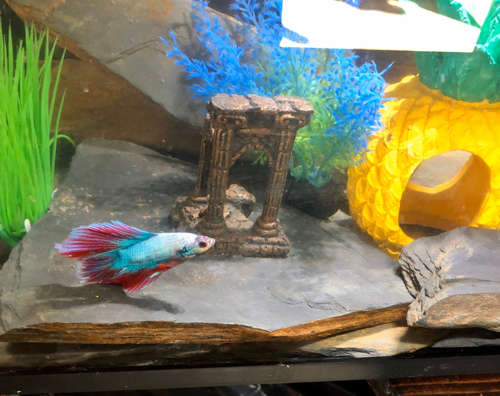 8 Pounds - Slate Stone Gravel for Aquarium