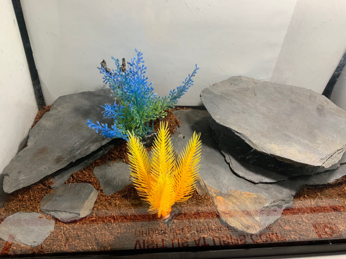 5lbs Natural Slate Rocks Aquarium Decor – The Clean Slate Company
