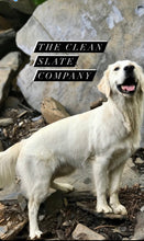 Load image into Gallery viewer, The Clean Slate Company Mascot Golden Retriever
