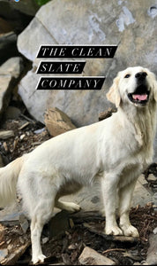 The Clean Slate Company Mascot Golden Retriever